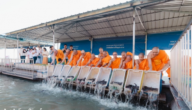 ปล่อยปลา 500 กิโลกรัม น้อมบูชาธรรมมหาปูชนียาจารย์ ปีที่ 13 ครั้งที่ 126